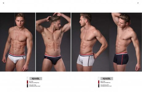 CATALOG -MENweb_Stranitsa_10_461x300.jpg